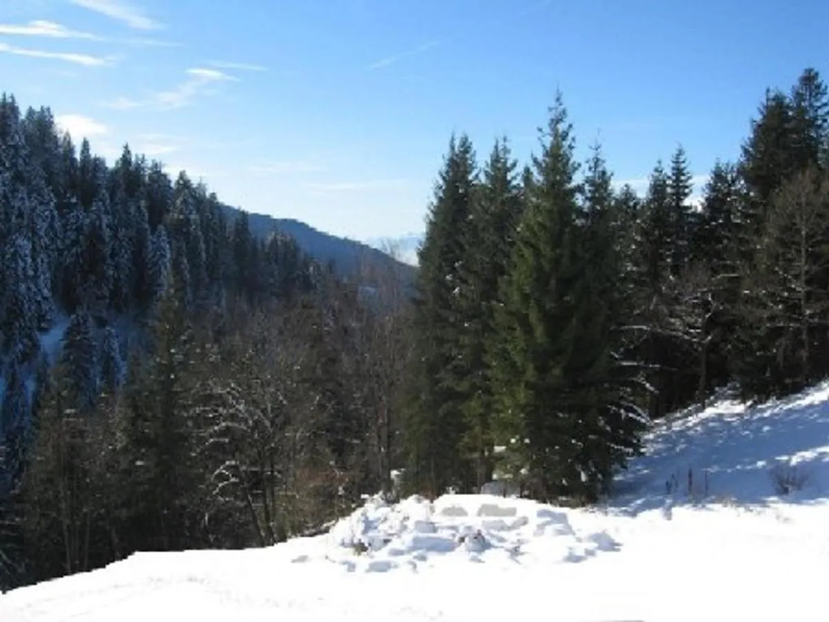 Appartement Pour 6 Avec Piscine, Terrasse, Parking Et Proche Des Pistes, Crest-Voland - Fr-1-733-129